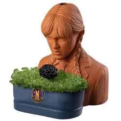 Addams Family Wednesday Chia Pet