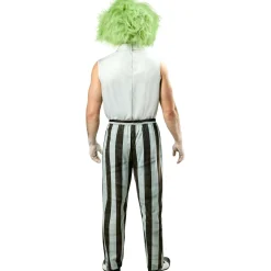 Adult Beetlejuice 2 Costume