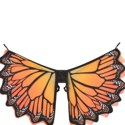 Adult Monarch Butterfly Wings
