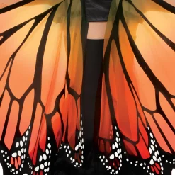 Adult Monarch Butterfly Wings