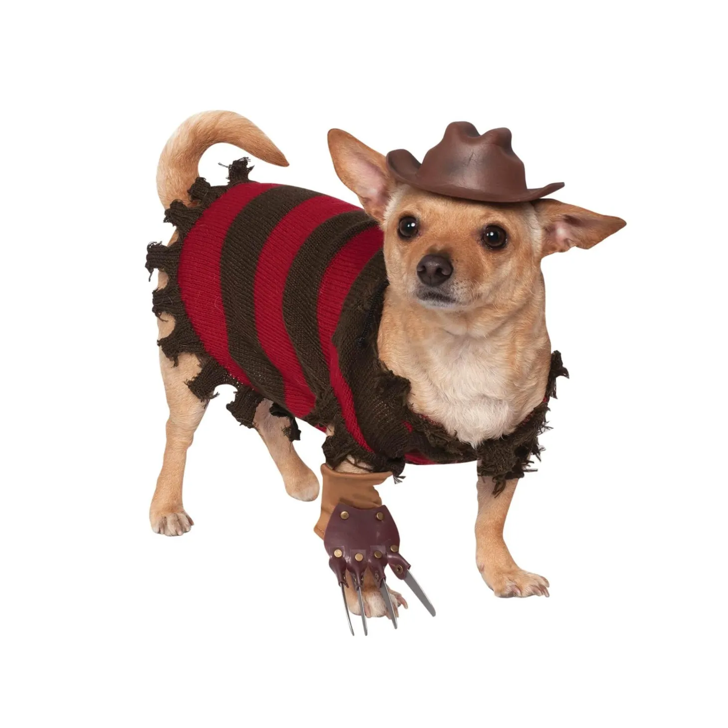 A Nightmare On Elm Street Freddy Krueger Pet Costume