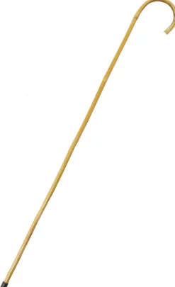 Bamboo Cane 37in