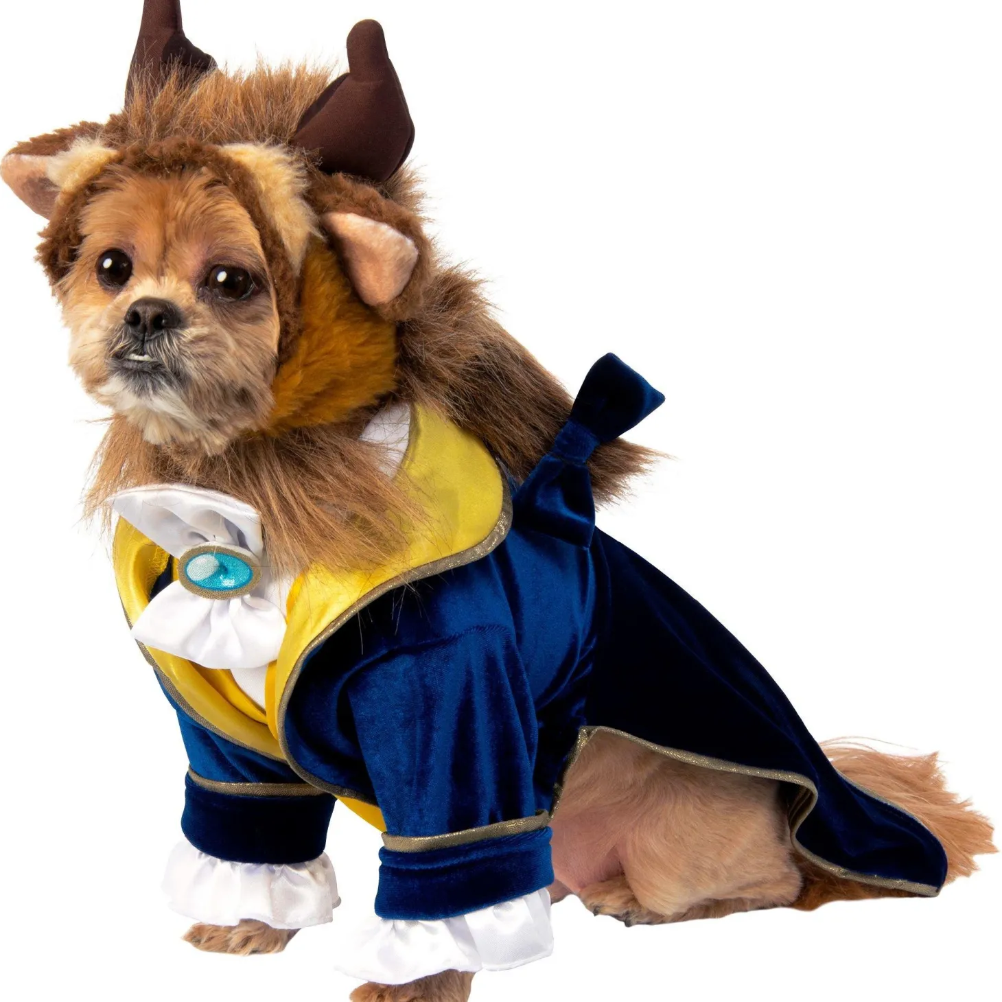 Beast Dog Costume - Beauty And The Beast