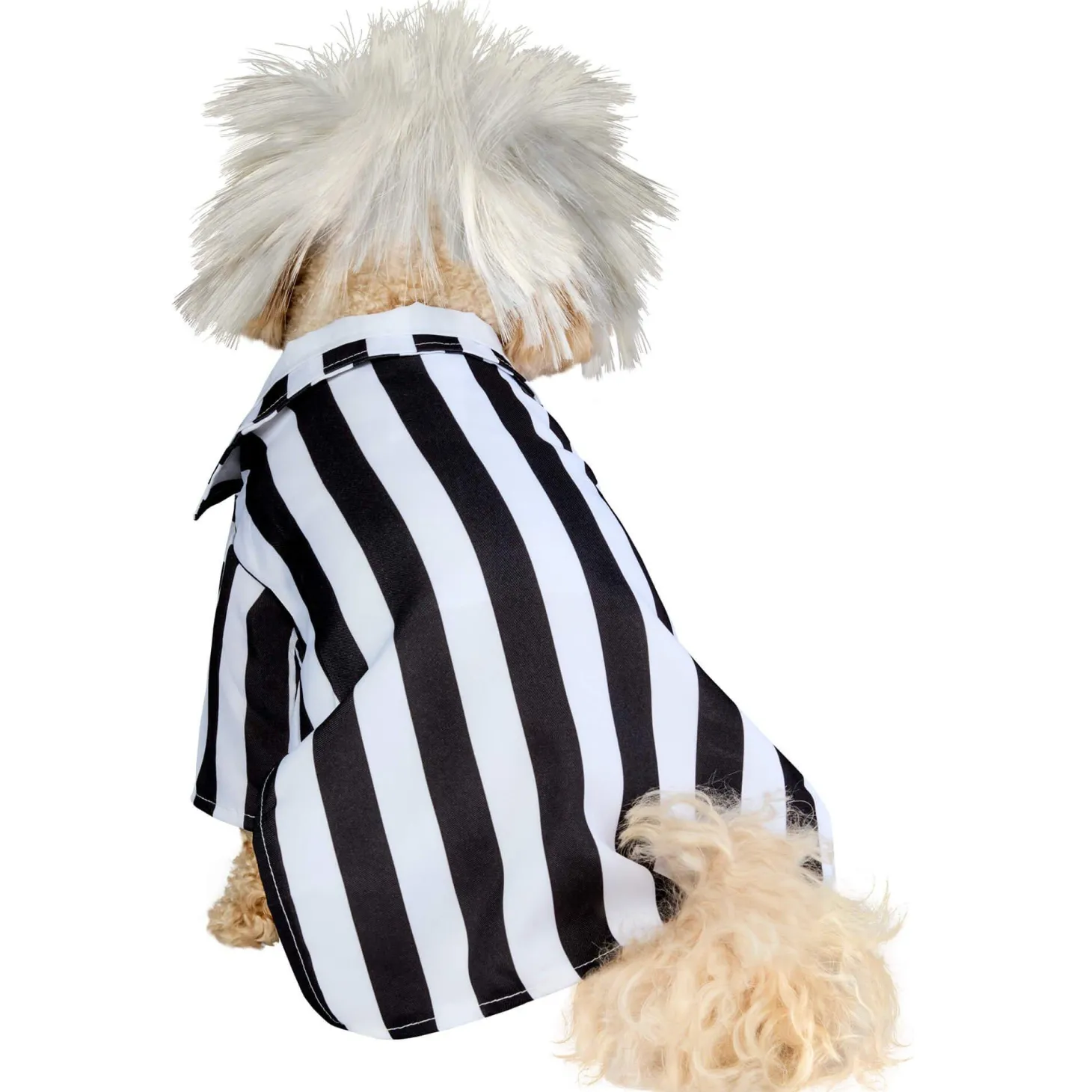 Beetlejuice Dog Costume