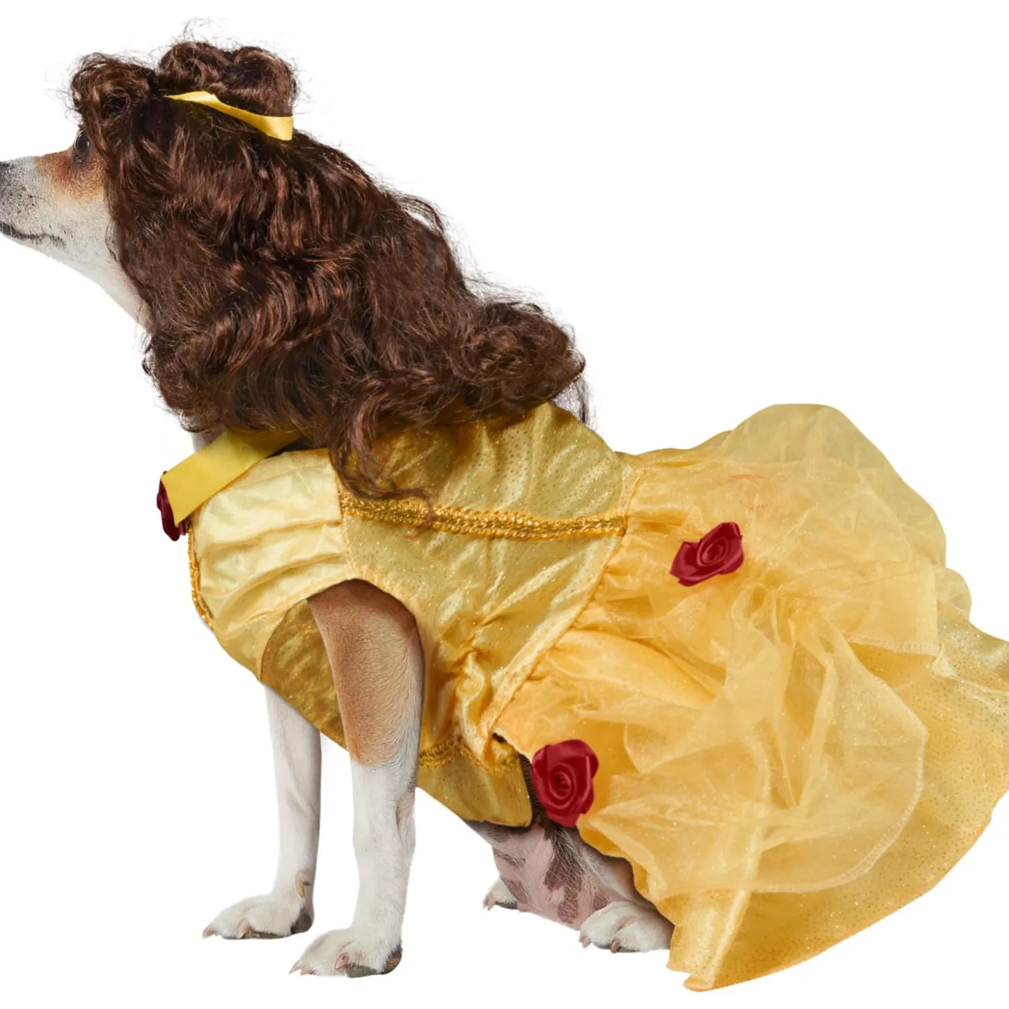 Belle Dog Costume - Beauty and the Beast