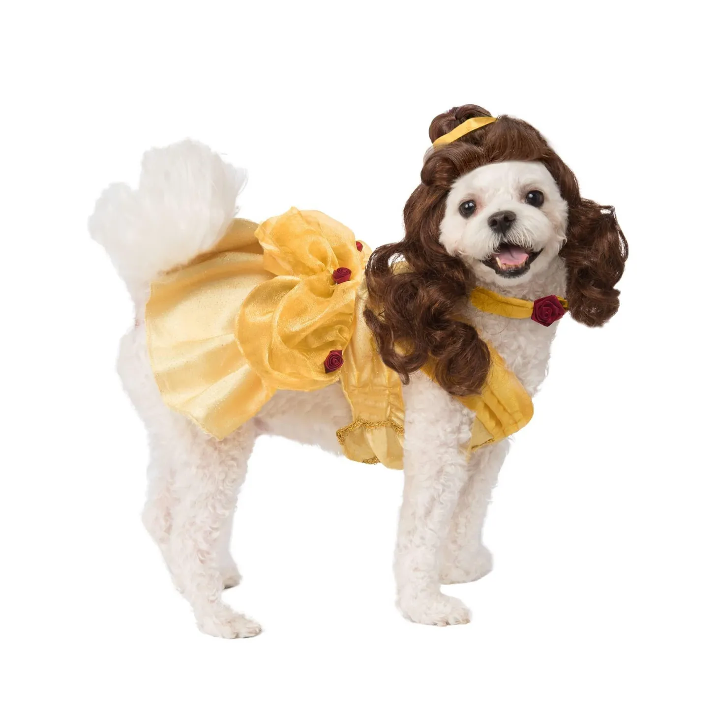 Belle Dog Costume - Beauty and the Beast