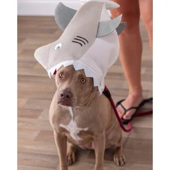 Biting Shark Hat