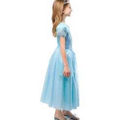Blue Princess Costume Dress for Girls