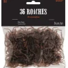 Brown Cockroaches 36ct