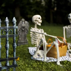 Cemetery Fences 2ct