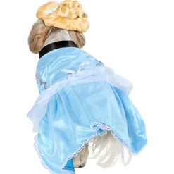 Cinderella Pet Costume