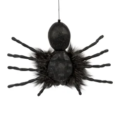 Creepy Dropping Spider