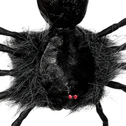 Creepy Dropping Spider