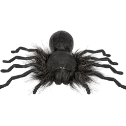 Creepy Dropping Spider