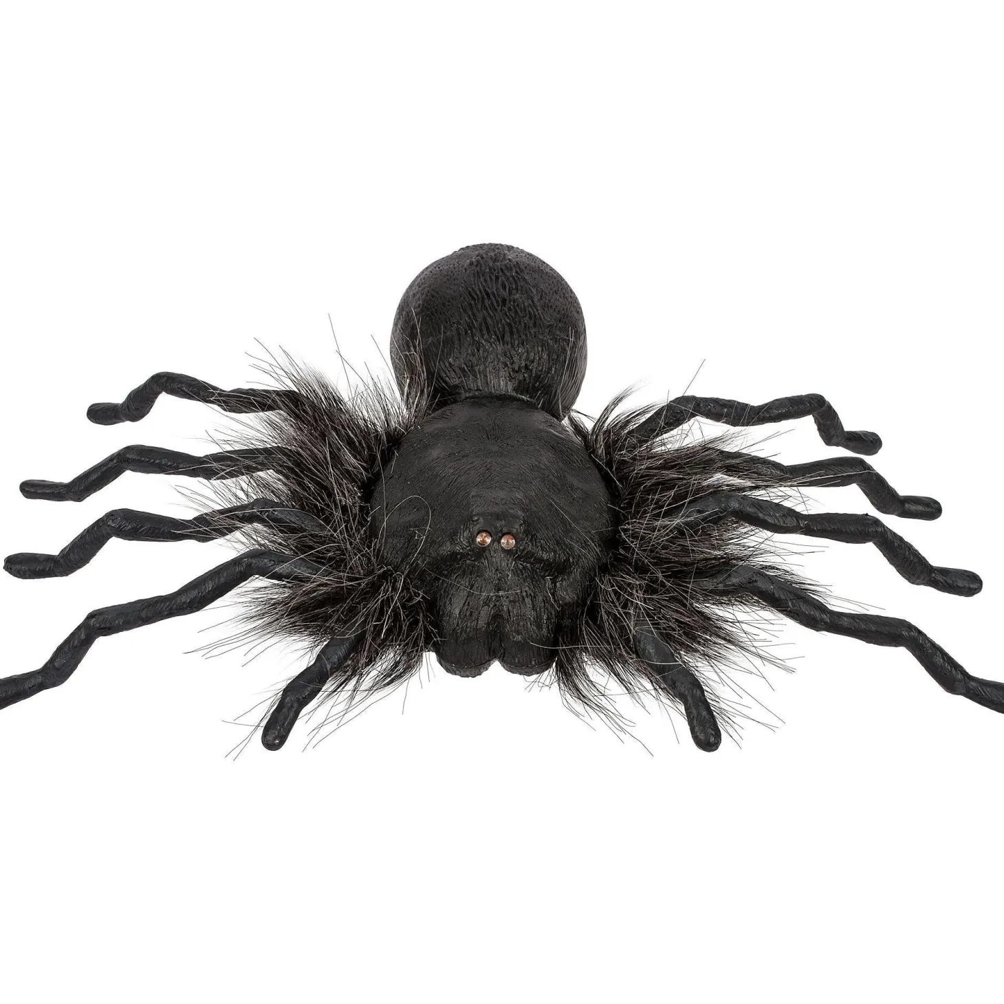 Creepy Dropping Spider