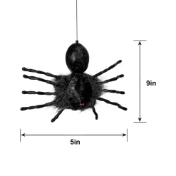 Creepy Dropping Spider