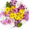 Darling Daisies Flower Bouquet (12 ct)