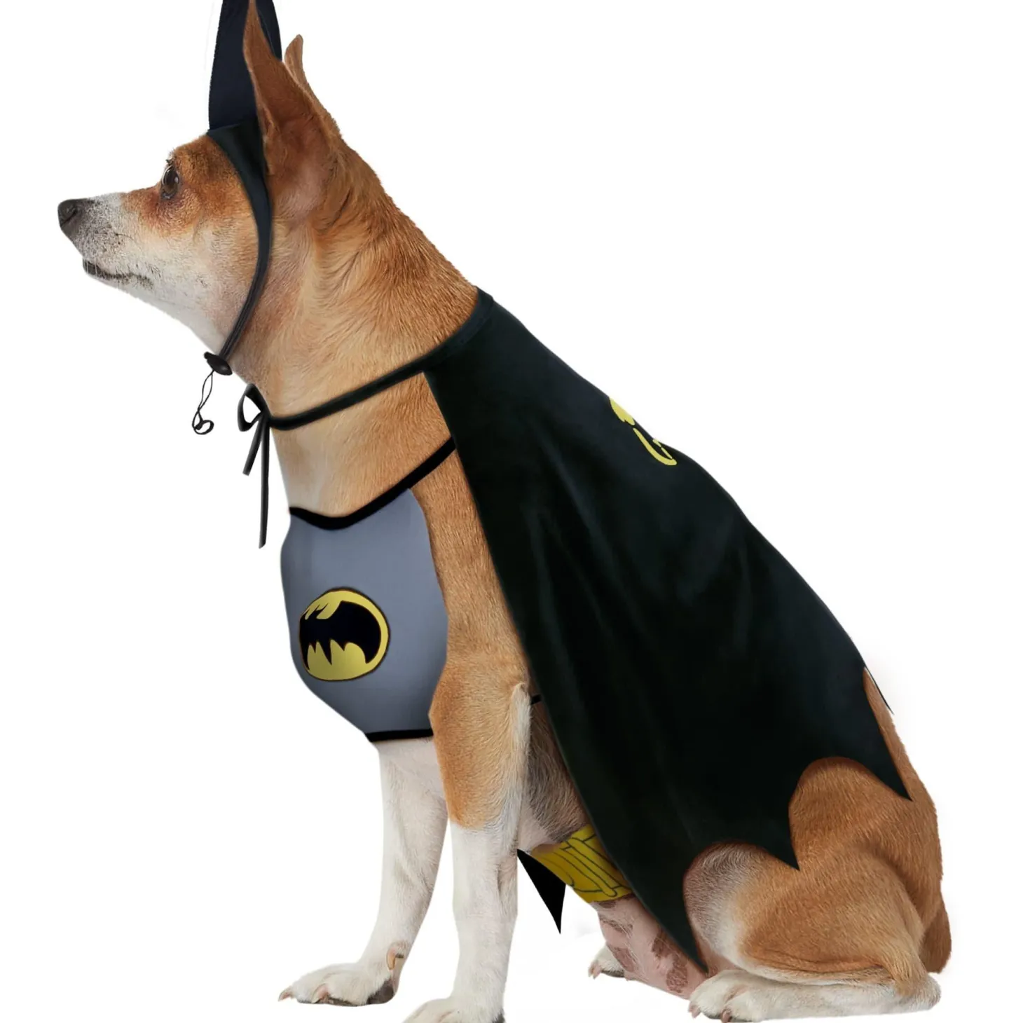 DC Comics Batman Pet Costume - Classic