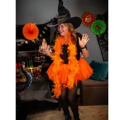 Feather Boa, Assorted Colors