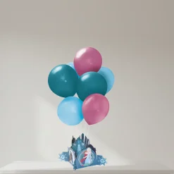 Frozen Decoration Kit