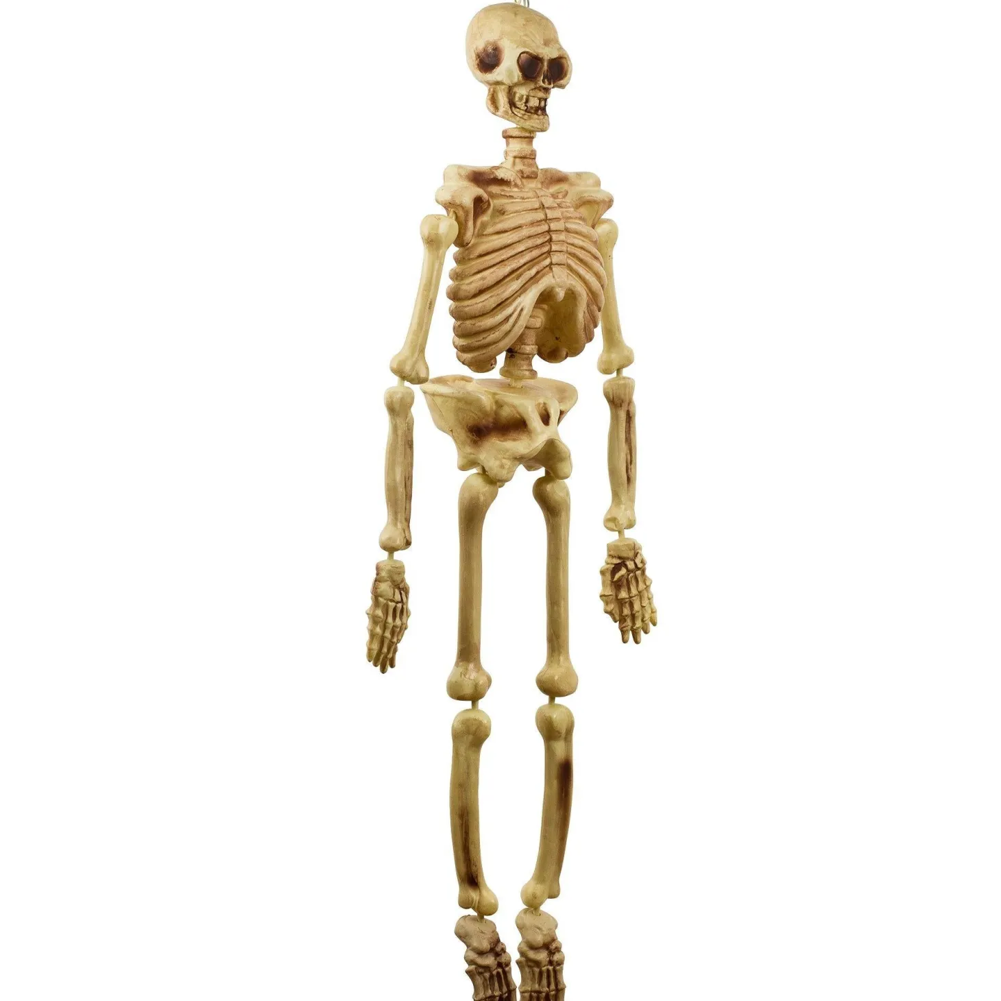 Hanging Plastic Skeleton, 5ft