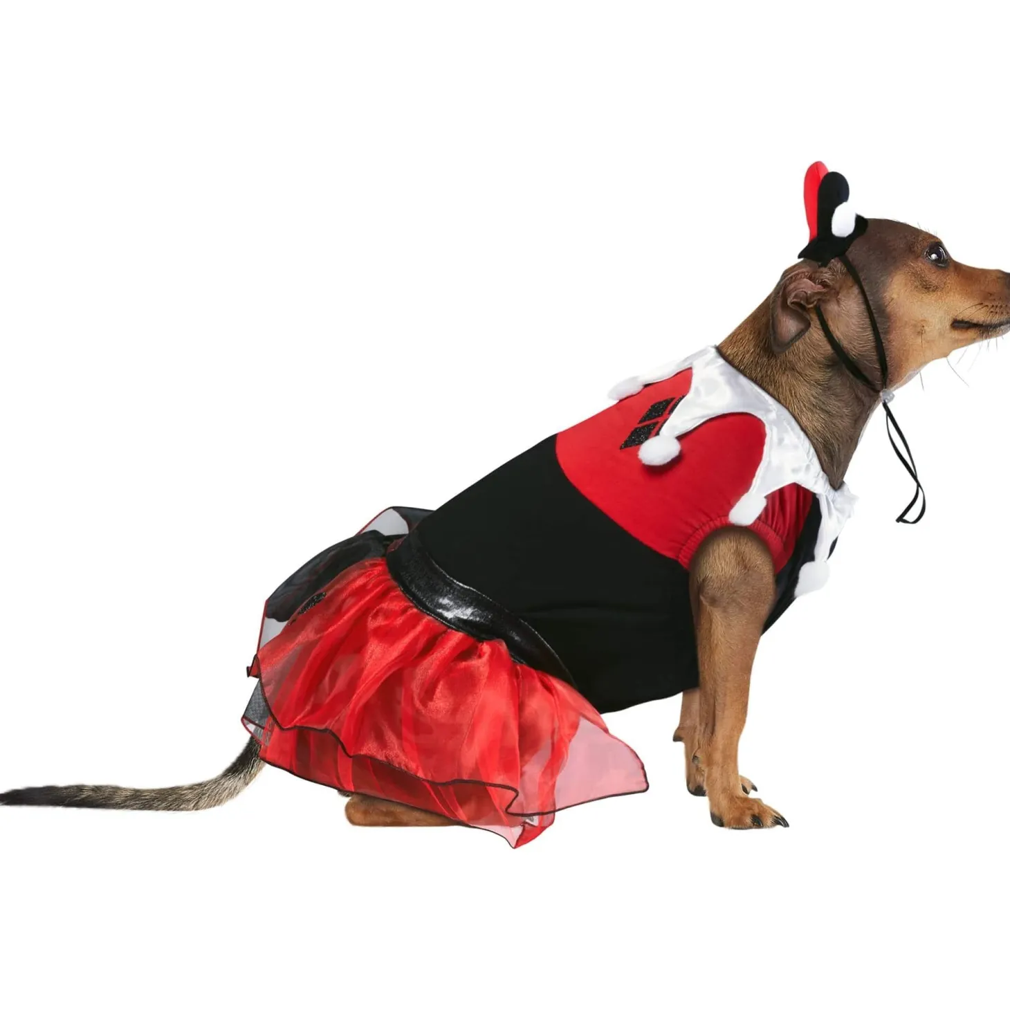 Harley Quinn Dog Costume - Batman
