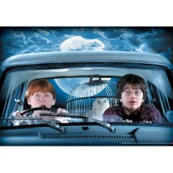 Harry Potter Decoration Kit