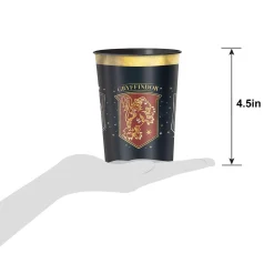 Harry Potter Favor Kit for 8 Guests