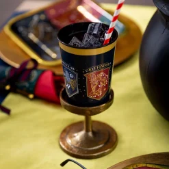 Harry Potter Favor Kit for 8 Guests