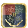 Harry Potter Party Kit for 8 Guests