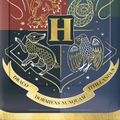Harry Potter Party Kit for 8 Guests