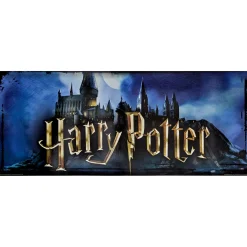 Harry Potter Trunk or Treat Car Decoration Kit