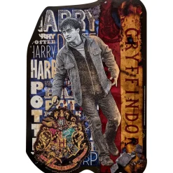 Harry Potter Trunk or Treat Car Decoration Kit