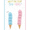 Ice Cream-Themed Boy or Girl Gender Reveal Voting Board with 24 Stickers - The Big Reveal