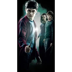 60-inch Harry Potter Front Door Cover Decoration
