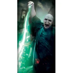 60-inch Harry Potter Voldemort Front Door Cover Decoration
