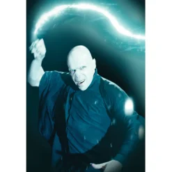 36-inch Harry Potter Voldemort Window Cover Decoration