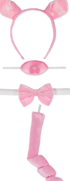 Kids' Pig Accessory Kit with Sound