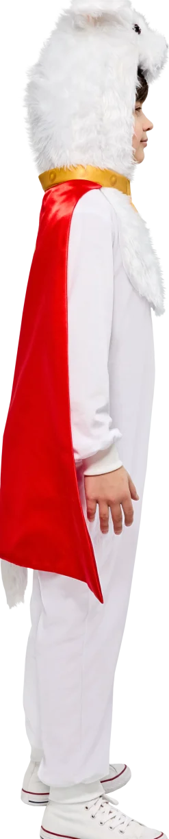 Kids' Supergirl Movie 2026 Krypto Zipsters Costume