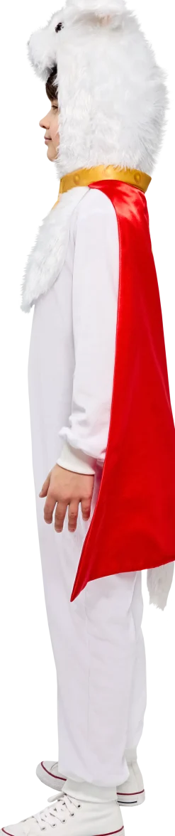 Kids' Supergirl Movie 2026 Krypto Zipsters Costume