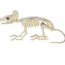 Large Plastic Rat Skeleton, 13.5in x 7in