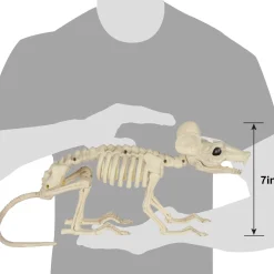 Large Plastic Rat Skeleton, 13.5in x 7in