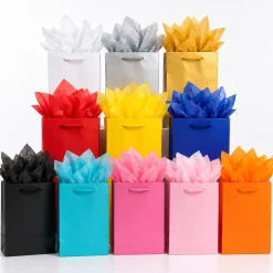 Medium Gift Bag, Assorted Colors