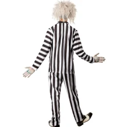 Men's Beetlejuice Beetlejuice Costume - Deluxe