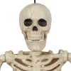 Miniature Realistic Hanging Skeleton, 16in