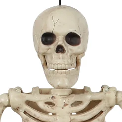 Miniature Realistic Hanging Skeleton, 16in