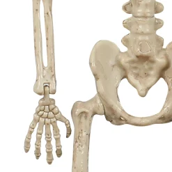 Miniature Realistic Hanging Skeleton, 16in