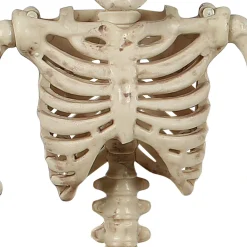 Miniature Realistic Hanging Skeleton, 16in