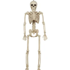 Miniature Realistic Hanging Skeleton, 16in