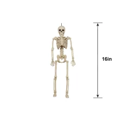 Miniature Realistic Hanging Skeleton, 16in